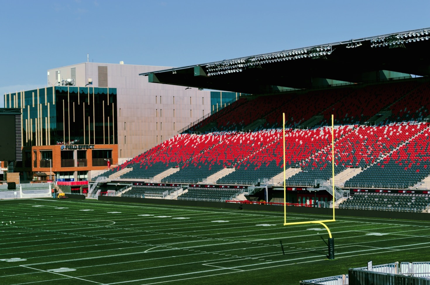 The Role of Fans in Shaping Sports Rules